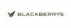 Blackberrys logo